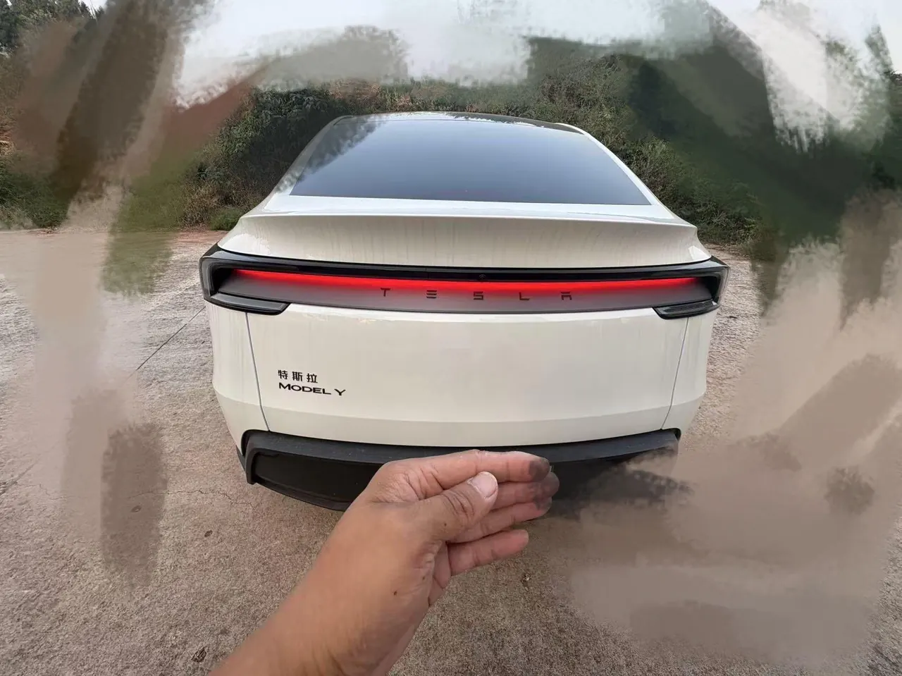Tesla 2026 Model Y Rear-Wheel-Drive Automatic 4