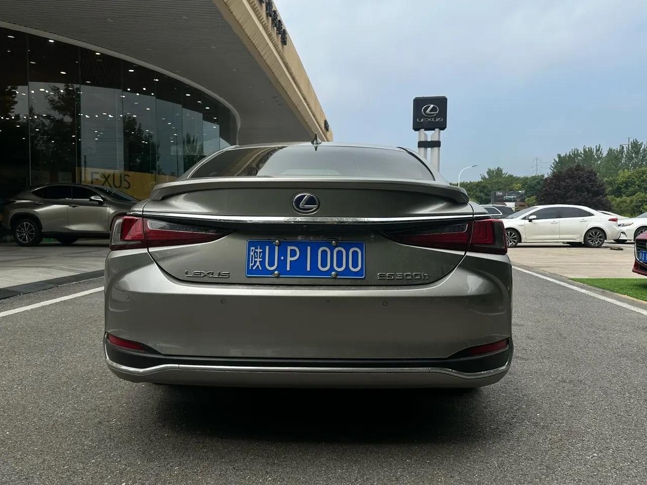Lexus ES (Imported) 2020 ES300h 2.5 Stepless Excellence Edition Automatic Gear 5