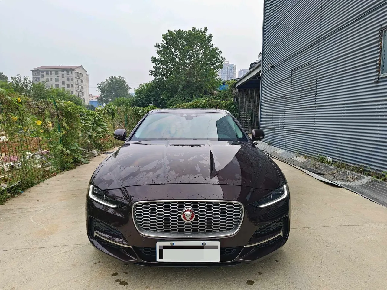 Jaguar 2020 XEL 2.0T 250PS SE Technology Elegant Edition Automatic Gear 2
