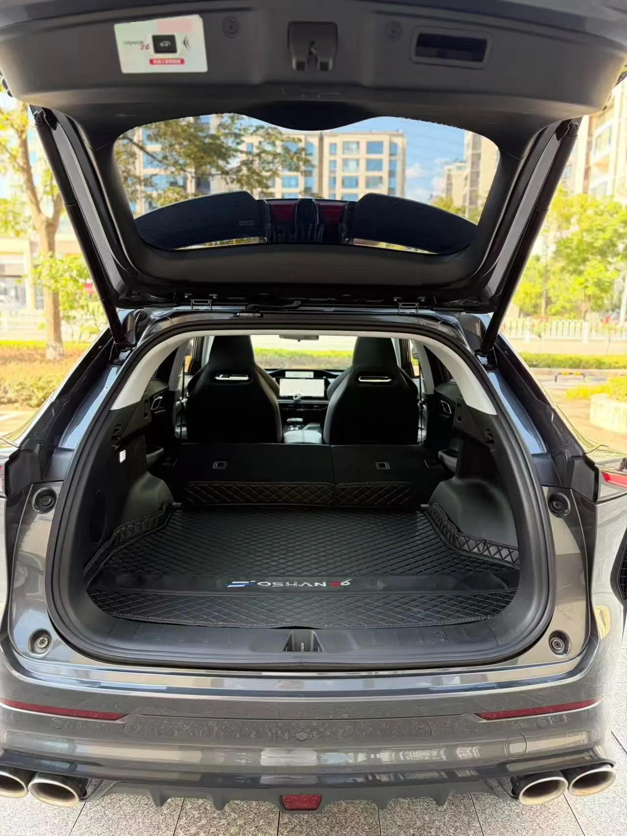 Oshan 2023 Z6 1.5T Blue Whale Zhihang Automatic Gear 8
