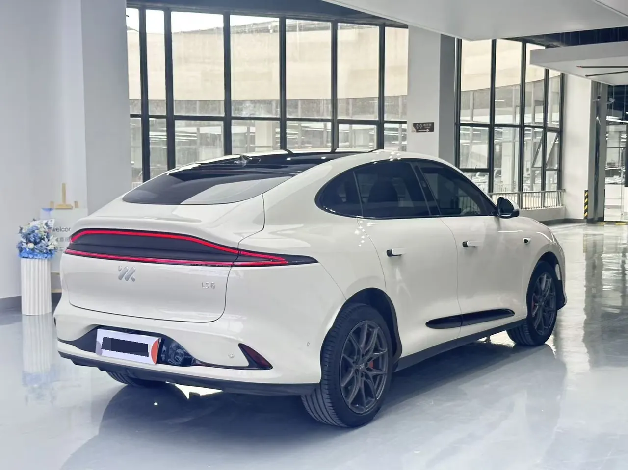 IM 2023 IM LS6 Max Standard Edition Automatic Gear 9