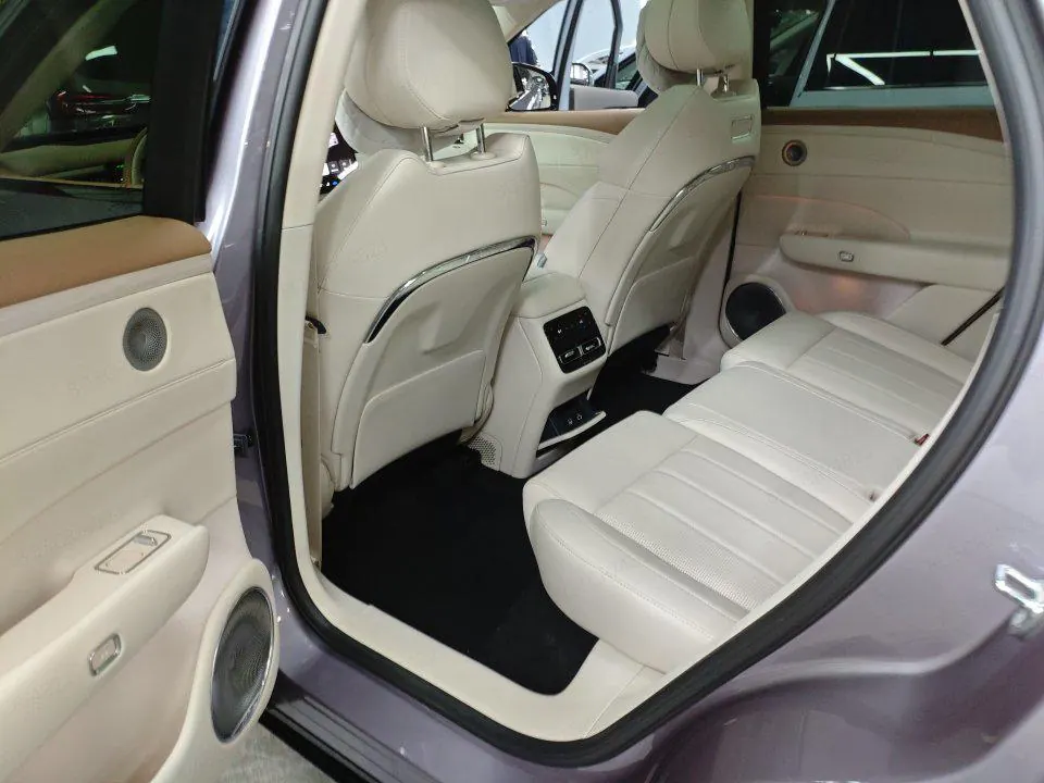 Voyah 2025 FREE four-wheel drive dry Kun version of automatic gear 5