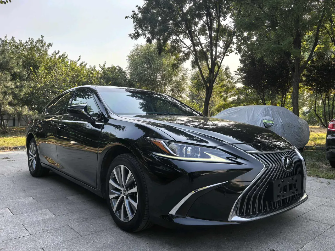 Lexus ES (Imported) 2020 ES200 2.0 Stepless Premium Edition Automatic Gear 2