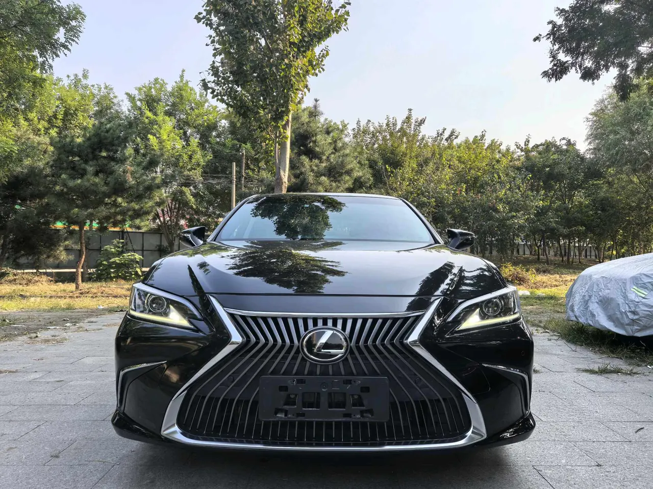 Lexus ES (Imported) 2020 ES200 2.0 Stepless Premium Edition Automatic Gear 3