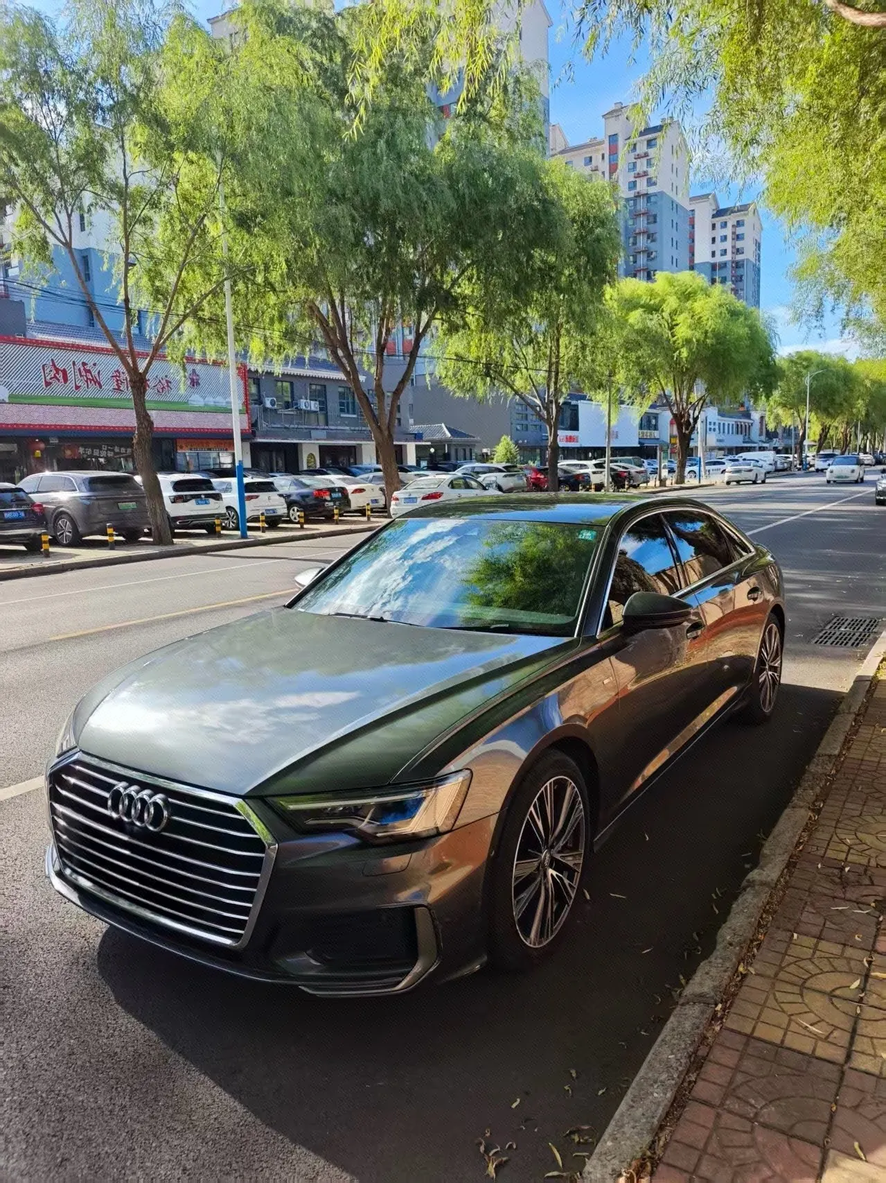 Audi 2020 A6L 2.0TFSI 45TFSI Quattro Selected Dynamic Automatic - View 1