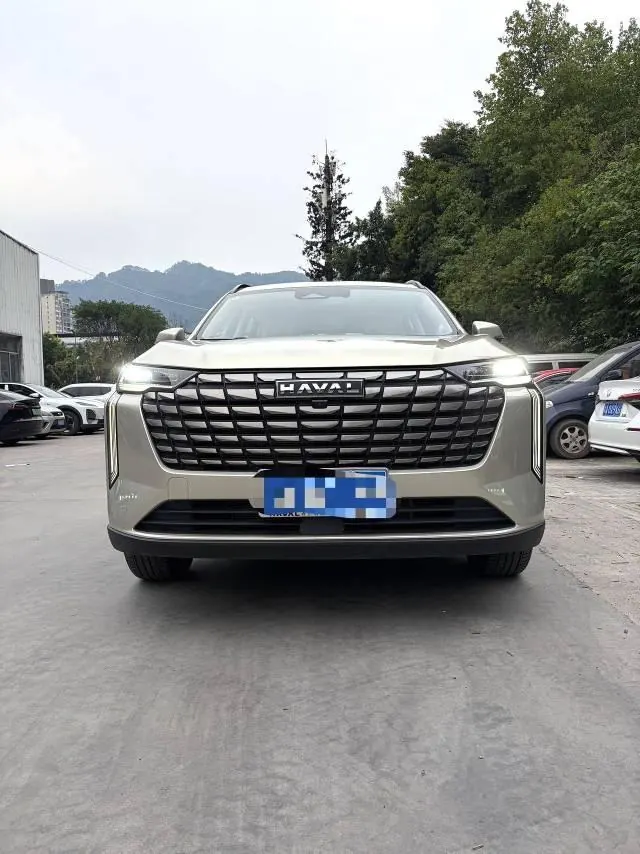 Haval 2024 H6 1.5T Two-Drive Ultra Auto 2