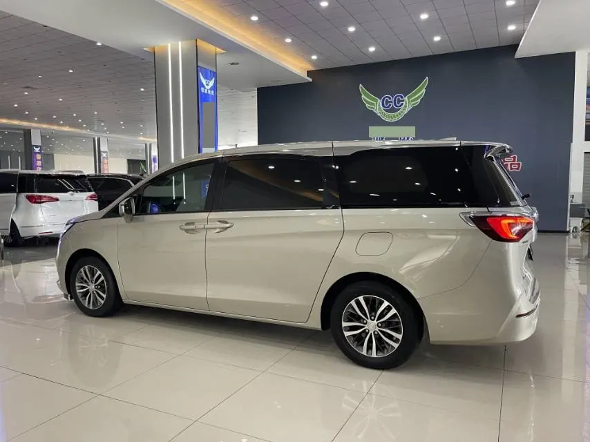 Buick 2020 GL8 ES Lu Zun 2.0T 653T Comfortable Automatic Gear 10