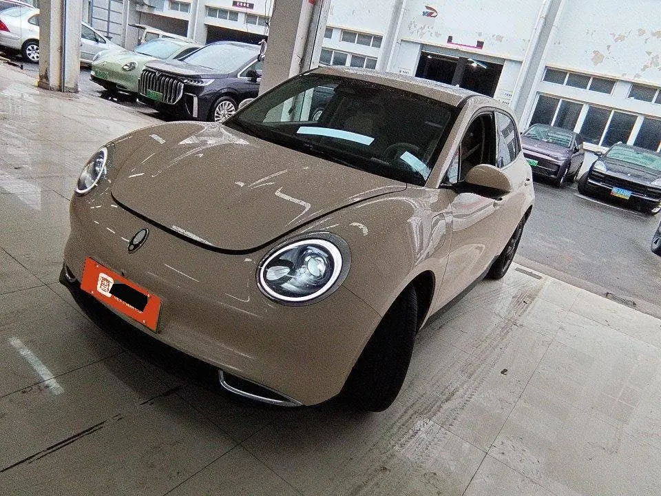 Ora 2024 good cat 401km luxury automatic gear - View 1