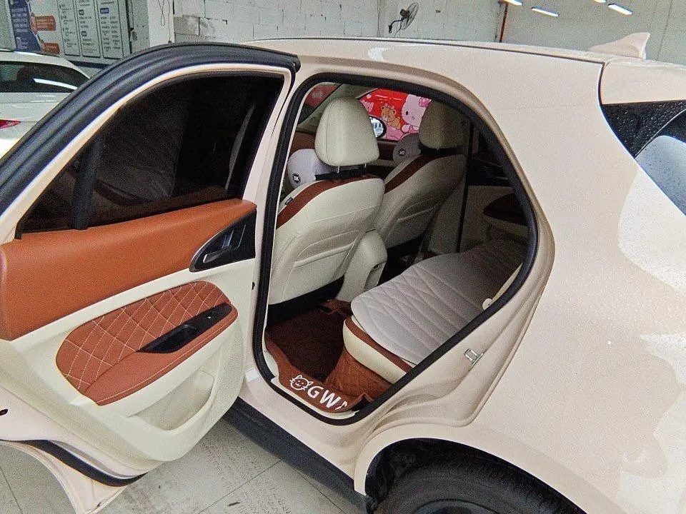Ora 2024 good cat 401km luxury automatic gear 3