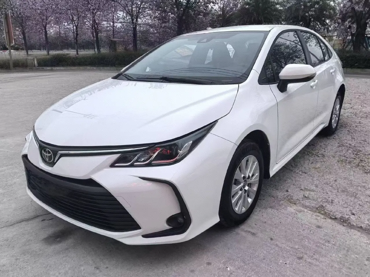 Toyota 2024 Corolla 1.2T Stepless Pioneer Edition Automatic Gear - View 1