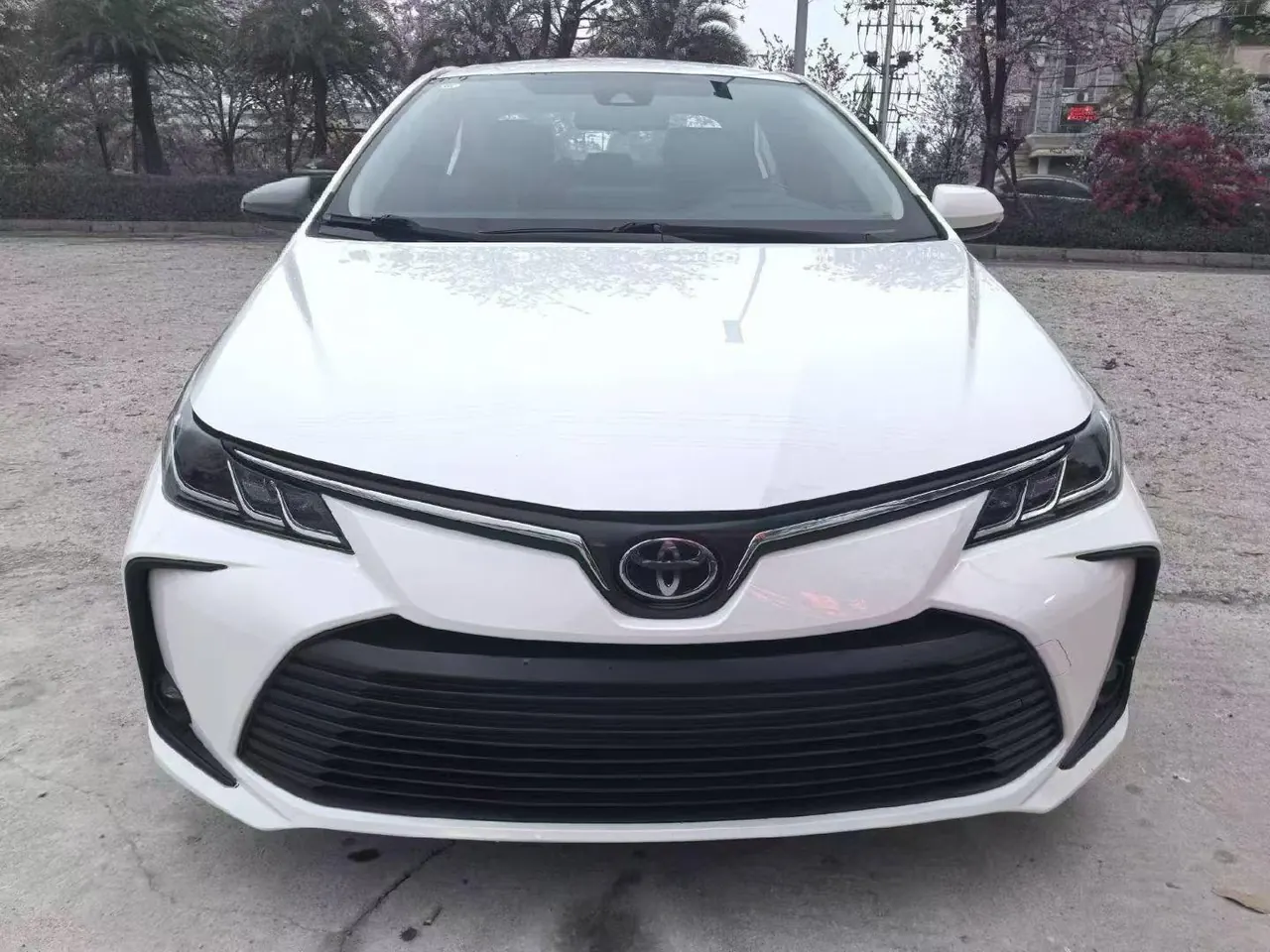 Toyota 2024 Corolla 1.2T Stepless Pioneer Edition Automatic Gear 2