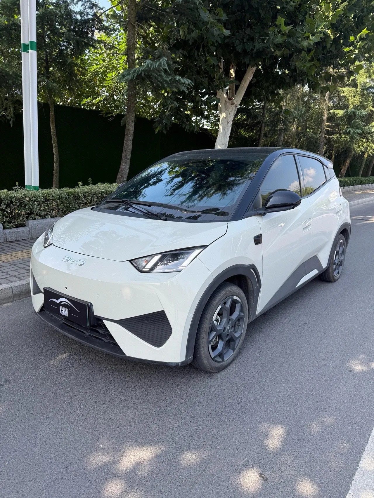 BYD 2025 Seagull Smart Driving Edition 305km Free Edition Automatic Gear - View 1