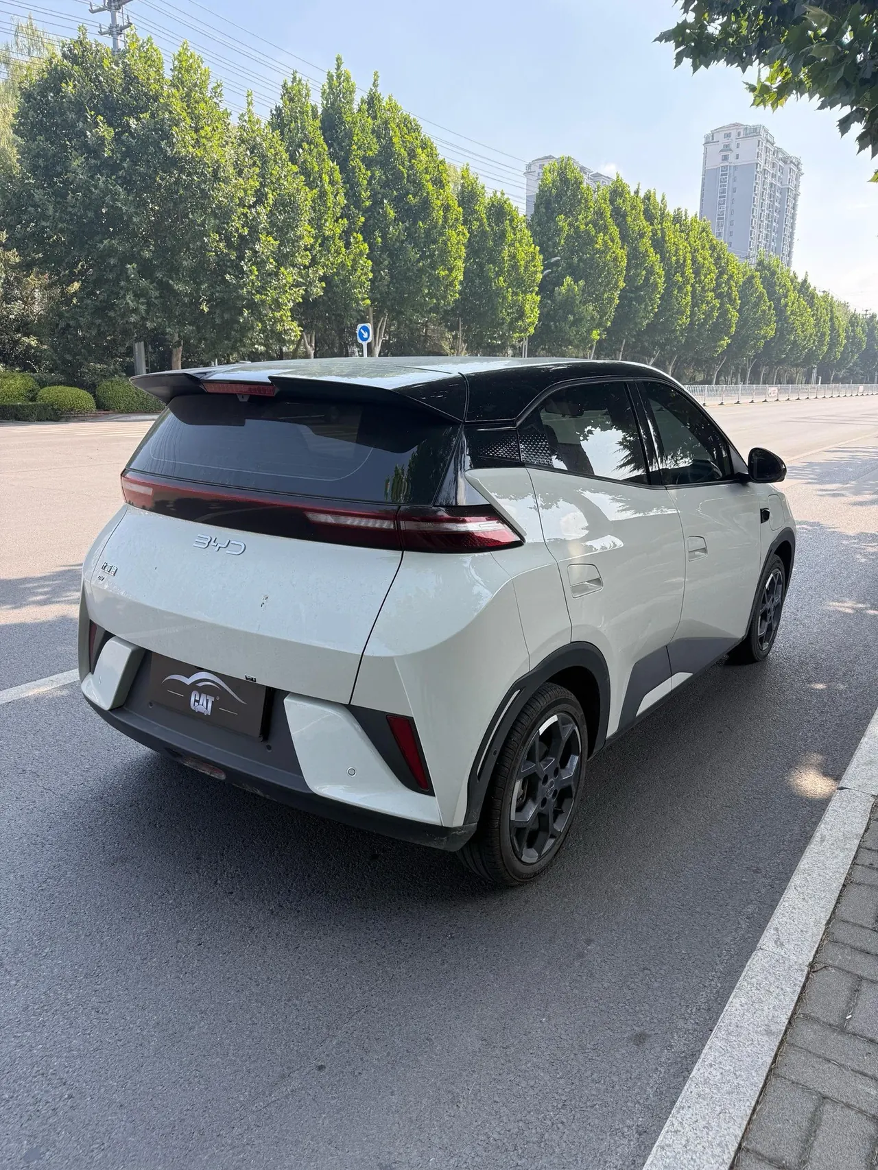 BYD 2025 Seagull Smart Driving Edition 305km Free Edition Automatic Gear 10