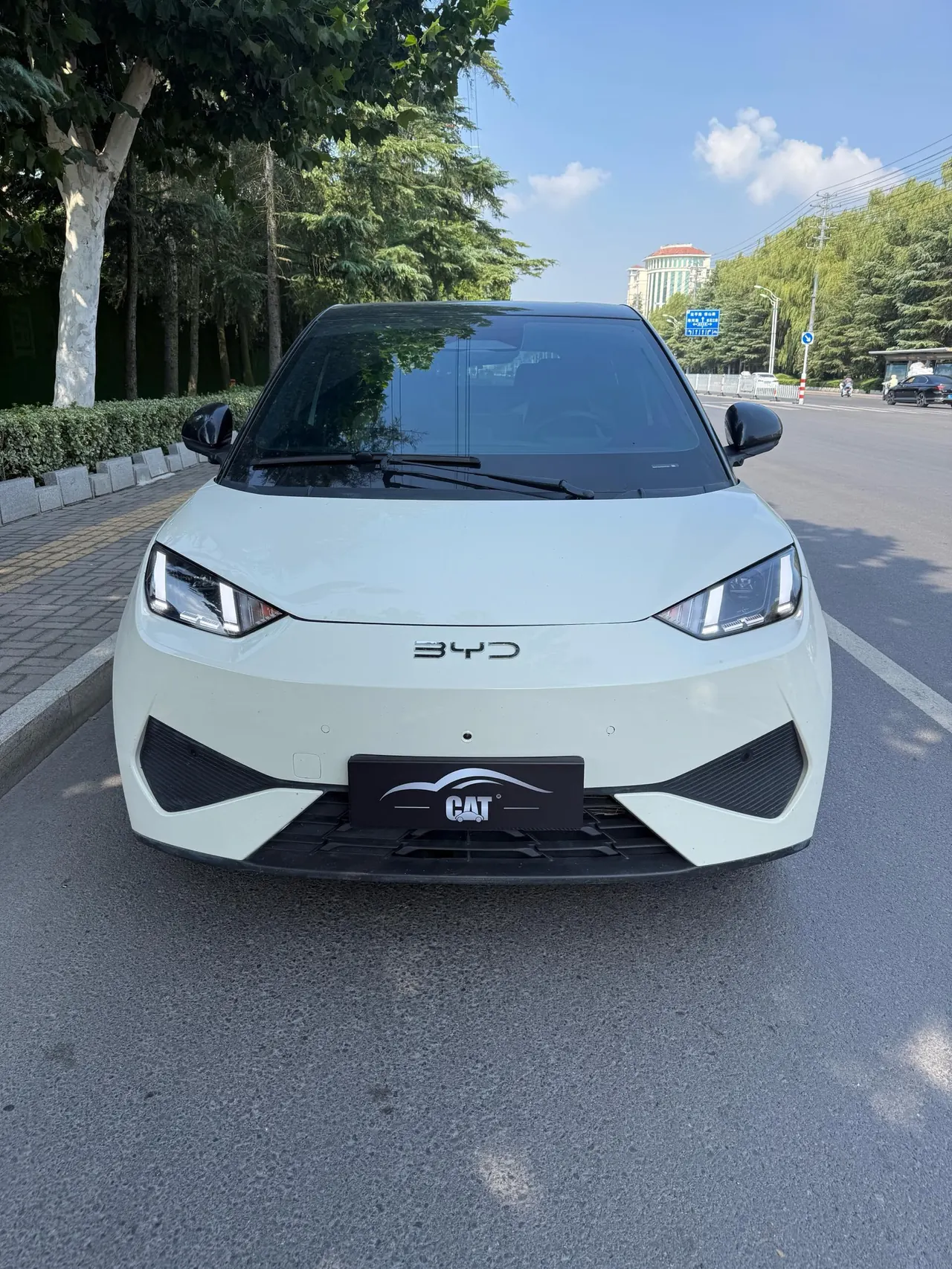 BYD 2025 Seagull Smart Driving Edition 305km Free Edition Automatic Gear 2