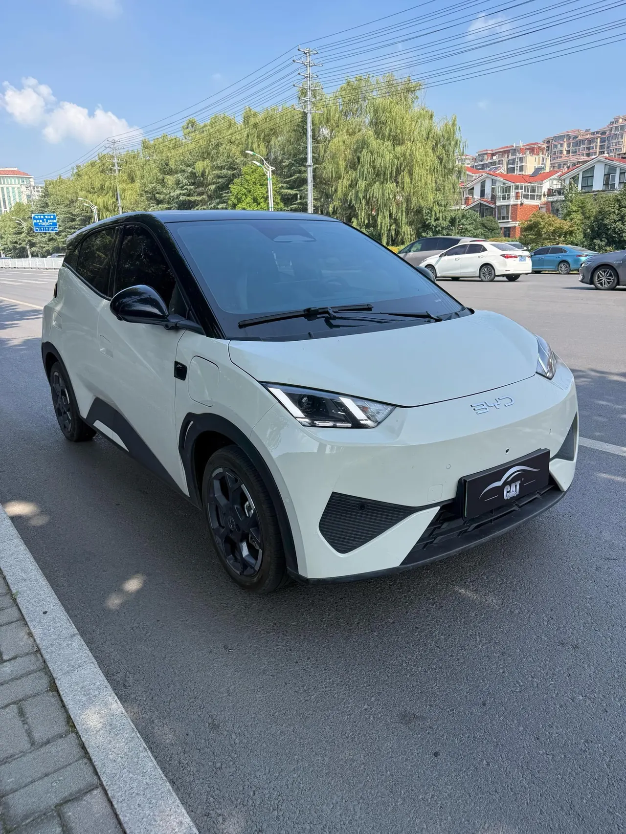BYD 2025 Seagull Smart Driving Edition 305km Free Edition Automatic Gear 3