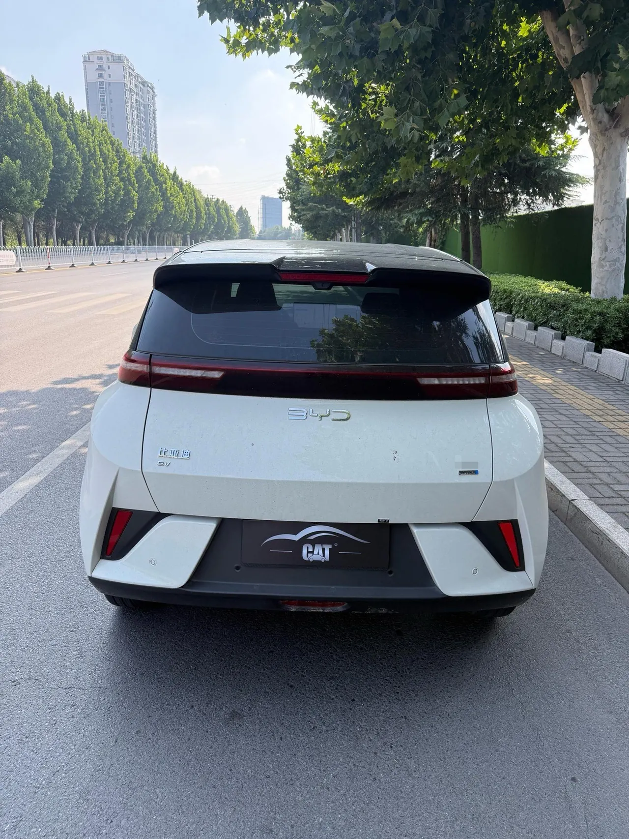 BYD 2025 Seagull Smart Driving Edition 305km Free Edition Automatic Gear 4