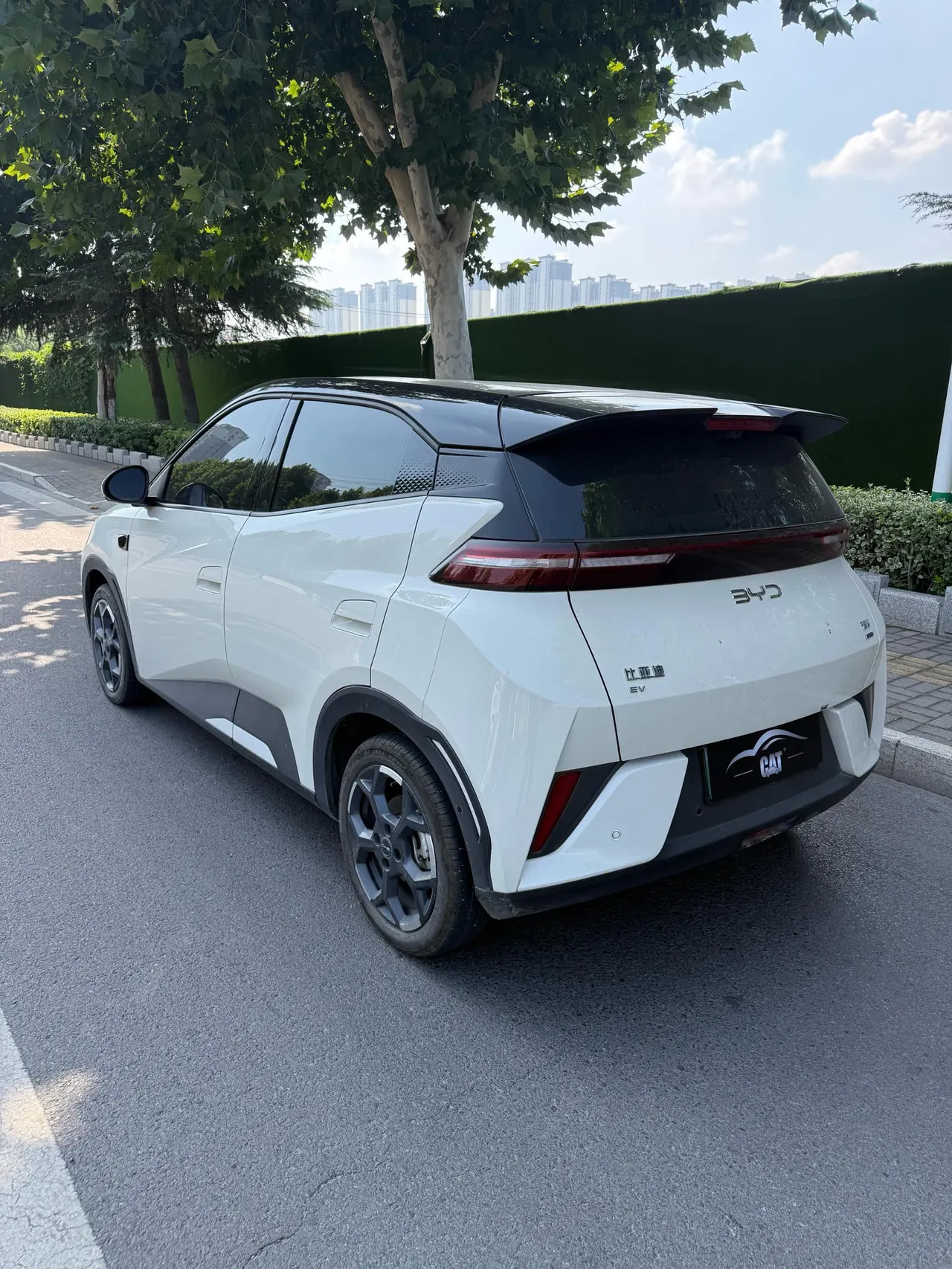 BYD 2025 Seagull Smart Driving Edition 305km Free Edition Automatic Gear 5