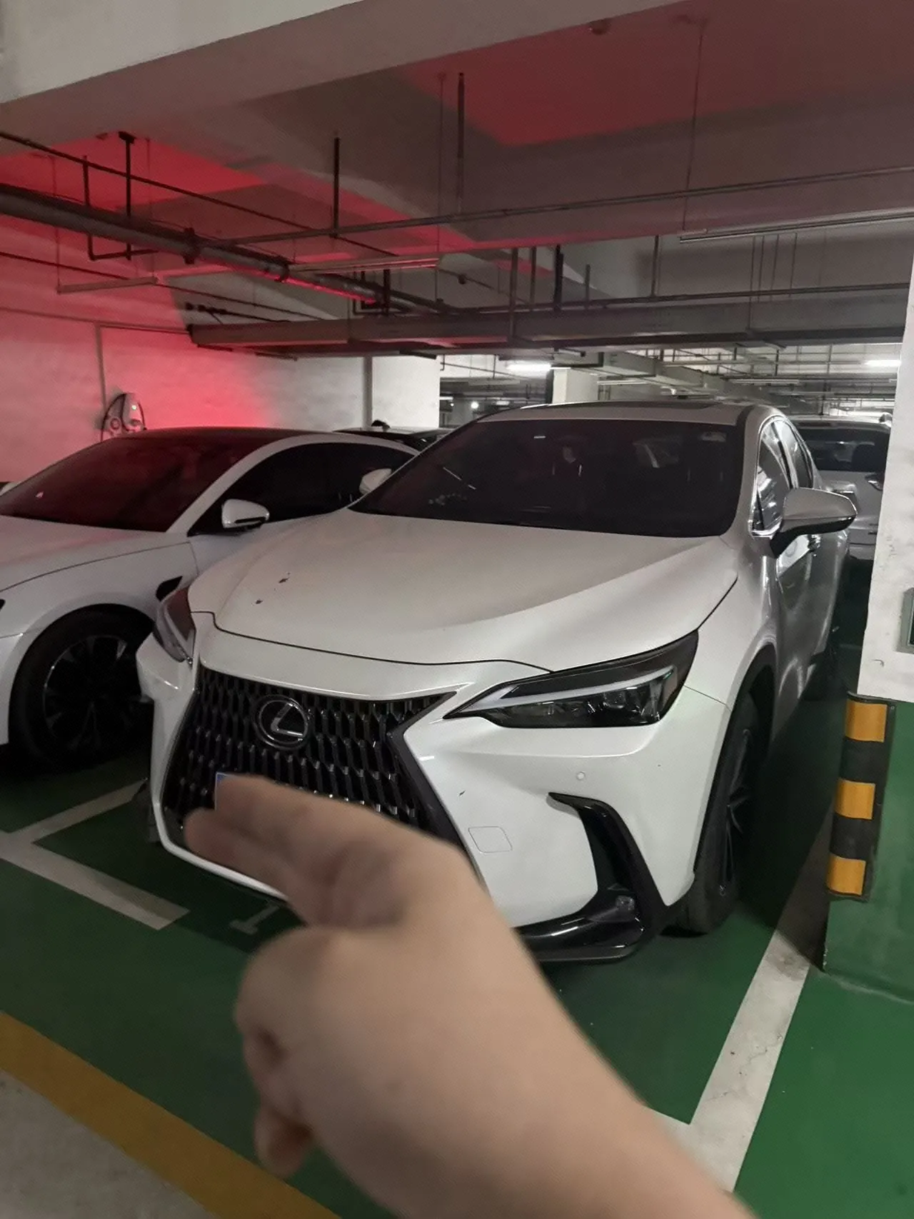 Lexus NX (Imported) 2022 NX260 2.5 Chuangyue Edition Automatic Gear - View 1