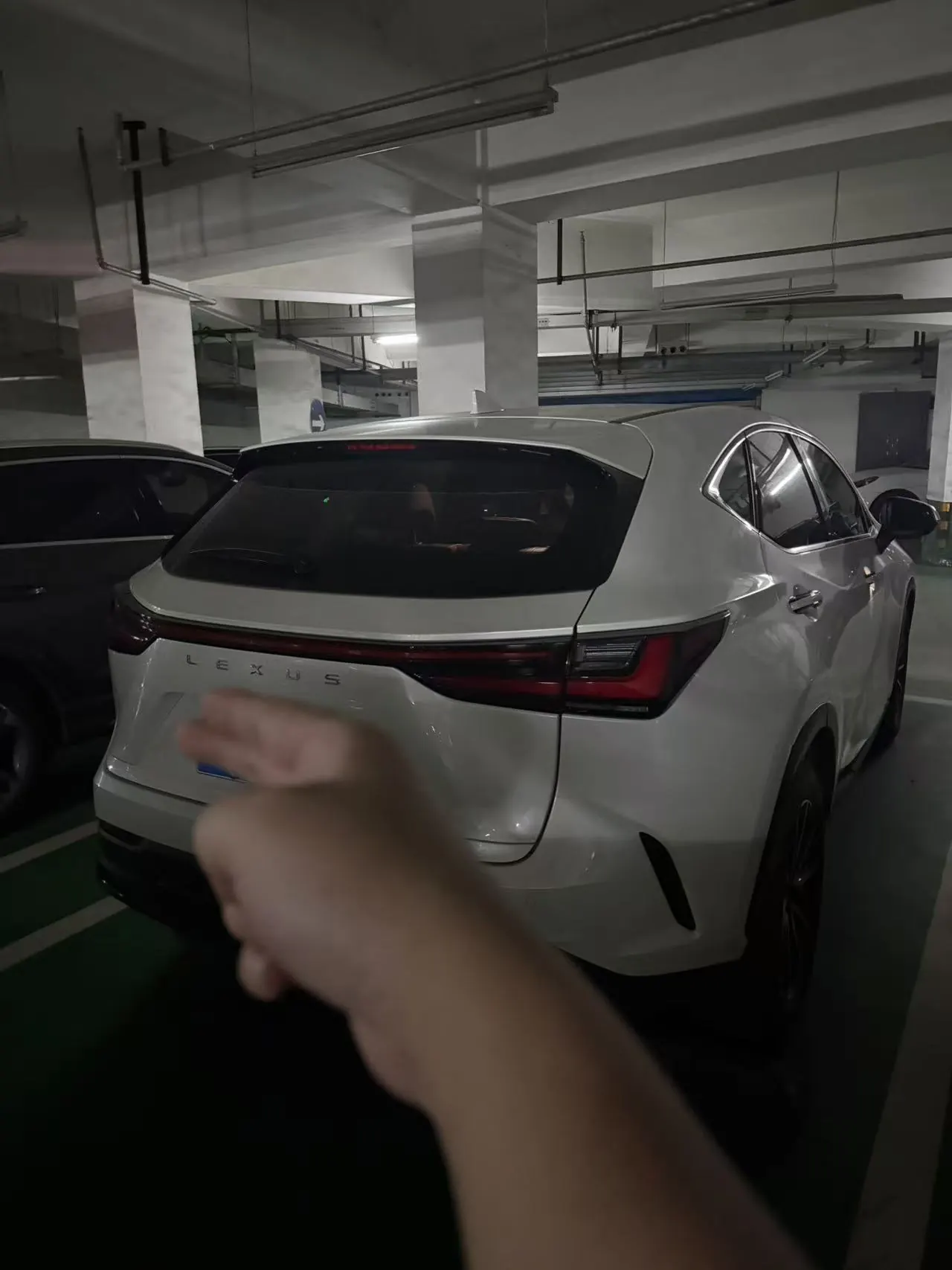 Lexus NX (Imported) 2022 NX260 2.5 Chuangyue Edition Automatic Gear 8