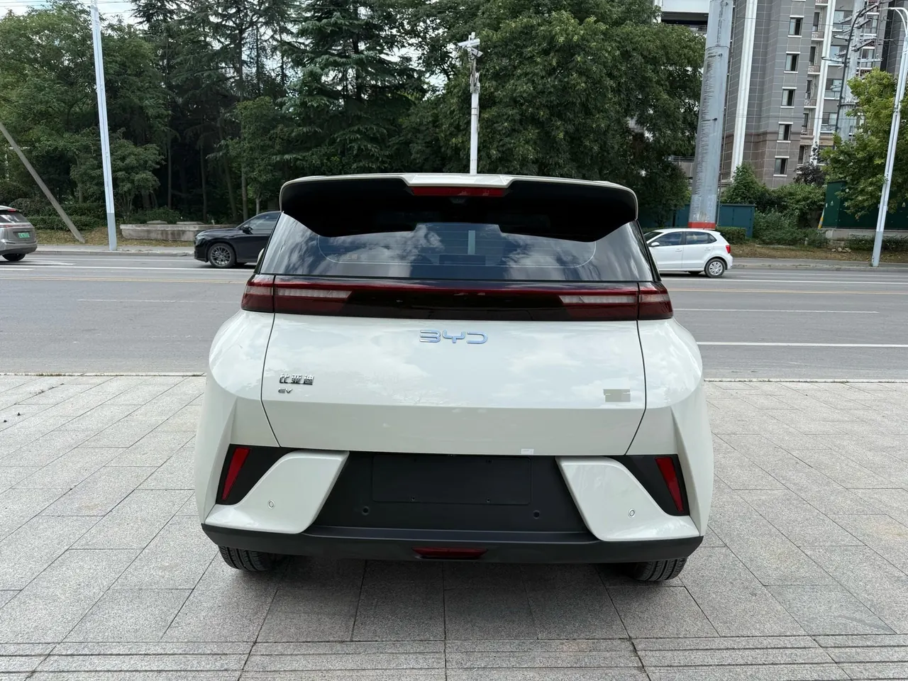BYD 2025 Seagull Smart Driving Edition 305km Free Edition Automatic Gear 5