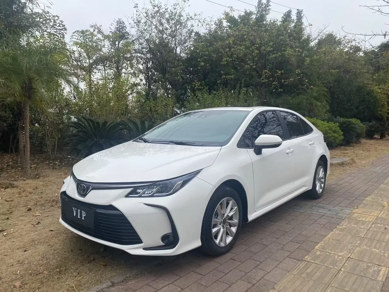 Toyota 2024 Corolla 1.2T Stepless Pioneer Edition Automatic Gear - View 1