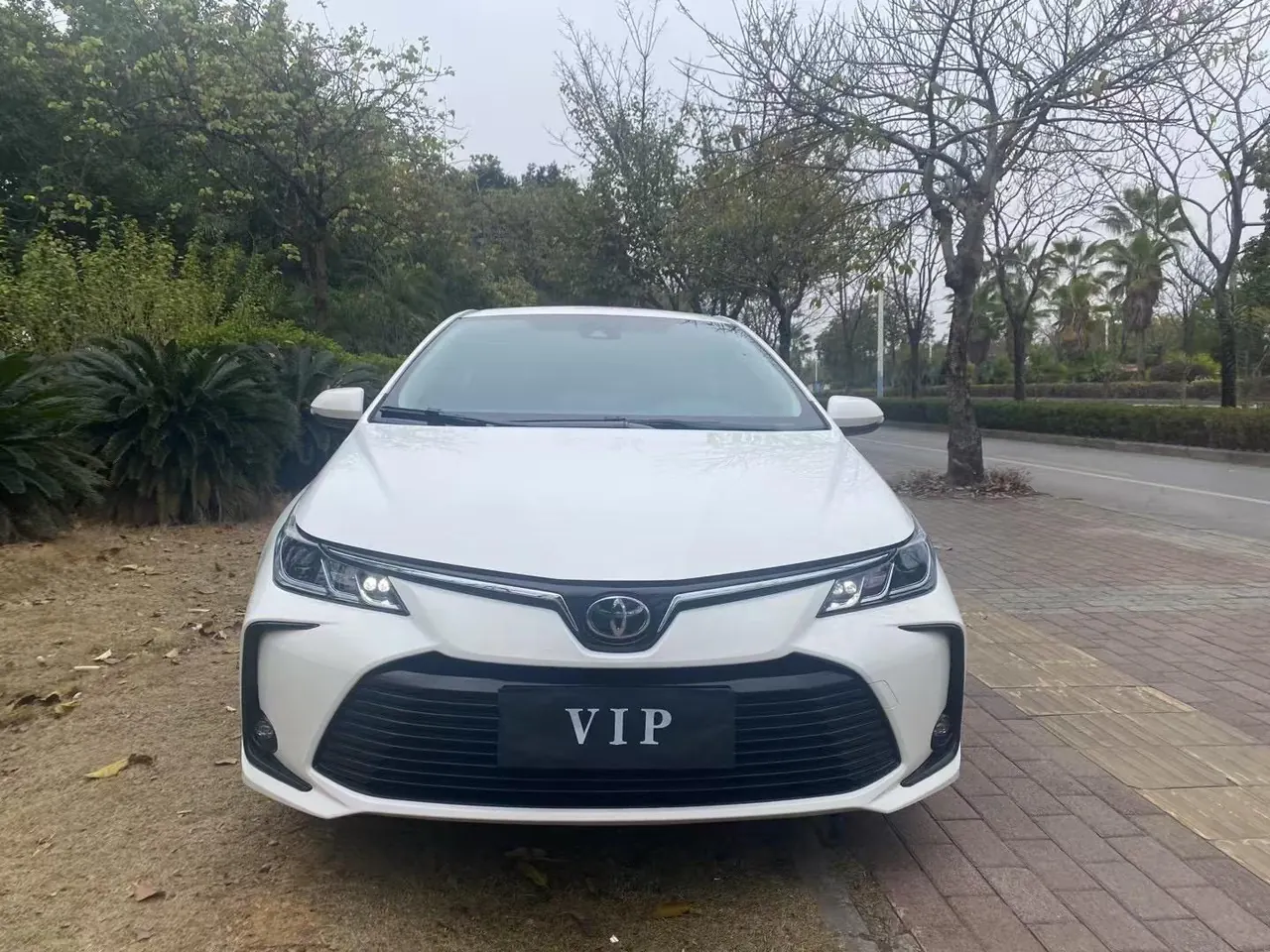 Toyota 2024 Corolla 1.2T Stepless Pioneer Edition Automatic Gear 2