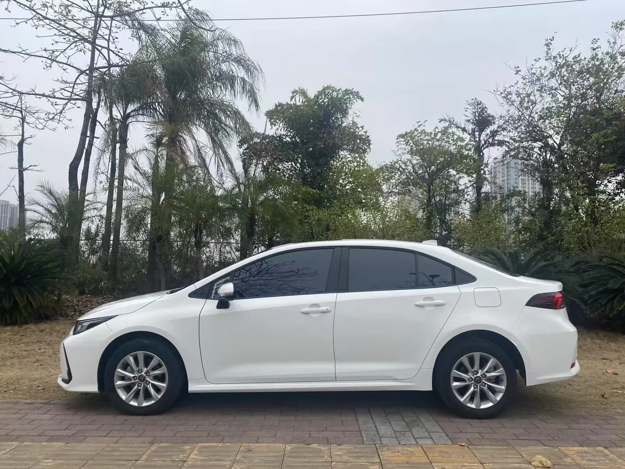 Toyota 2024 Corolla 1.2T Stepless Pioneer Edition Automatic Gear 3