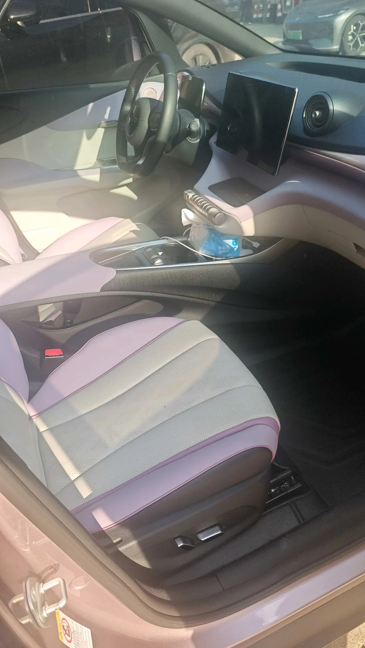 BYD 2023 Dolphin 420km Fashion Edition Automatic 2