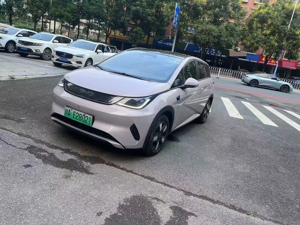 BYD 2025 Dolphin Smart Driving 410km Fashion Automatic Gear - View 1