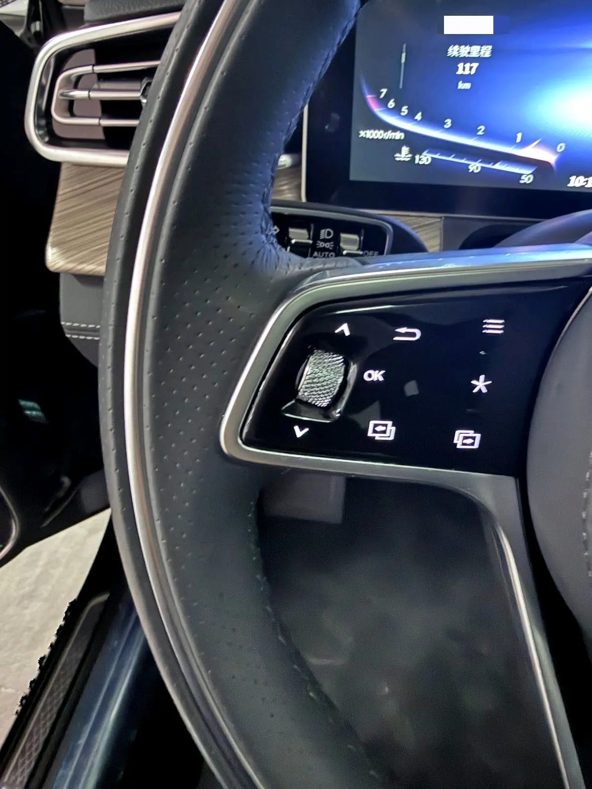 HongQi 2022 H9 48V 2.0T Zhilian Qi Chang Edition Automatic Gear 12
