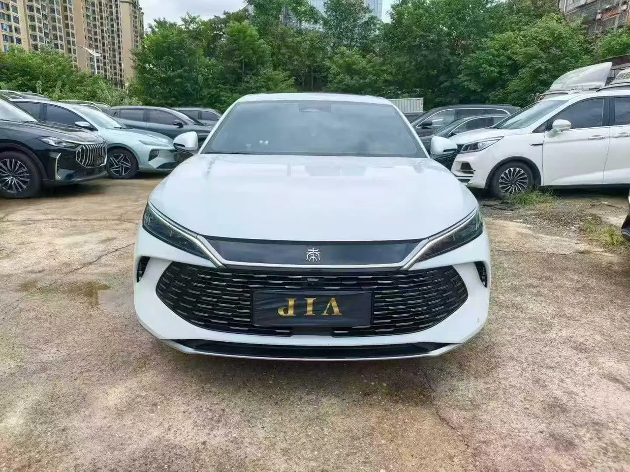 BYD 2024 Qin L DM-i 1.5 Stepless 120KM Excellent Automatic 3