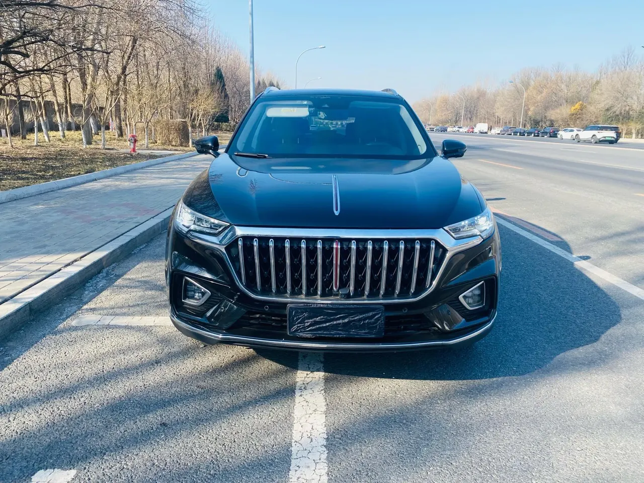 HongQi 2022 HS5 2.0T 4-wheel drive smart flag collar version automatic gear 2