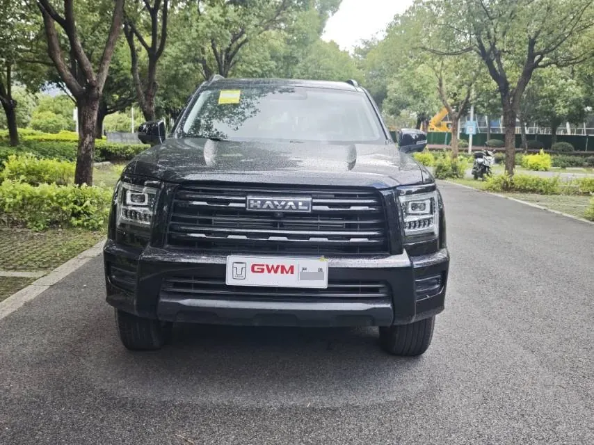 Haval 2025 H5 2.0T 4-wheel drive diesel pilot version automatic gear 2