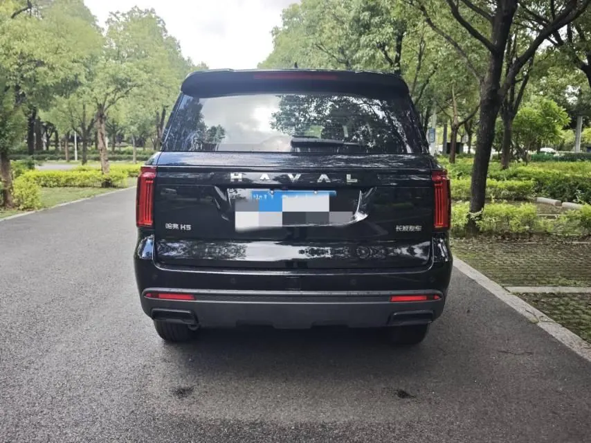 Haval 2025 H5 2.0T 4-wheel drive diesel pilot version automatic gear 7