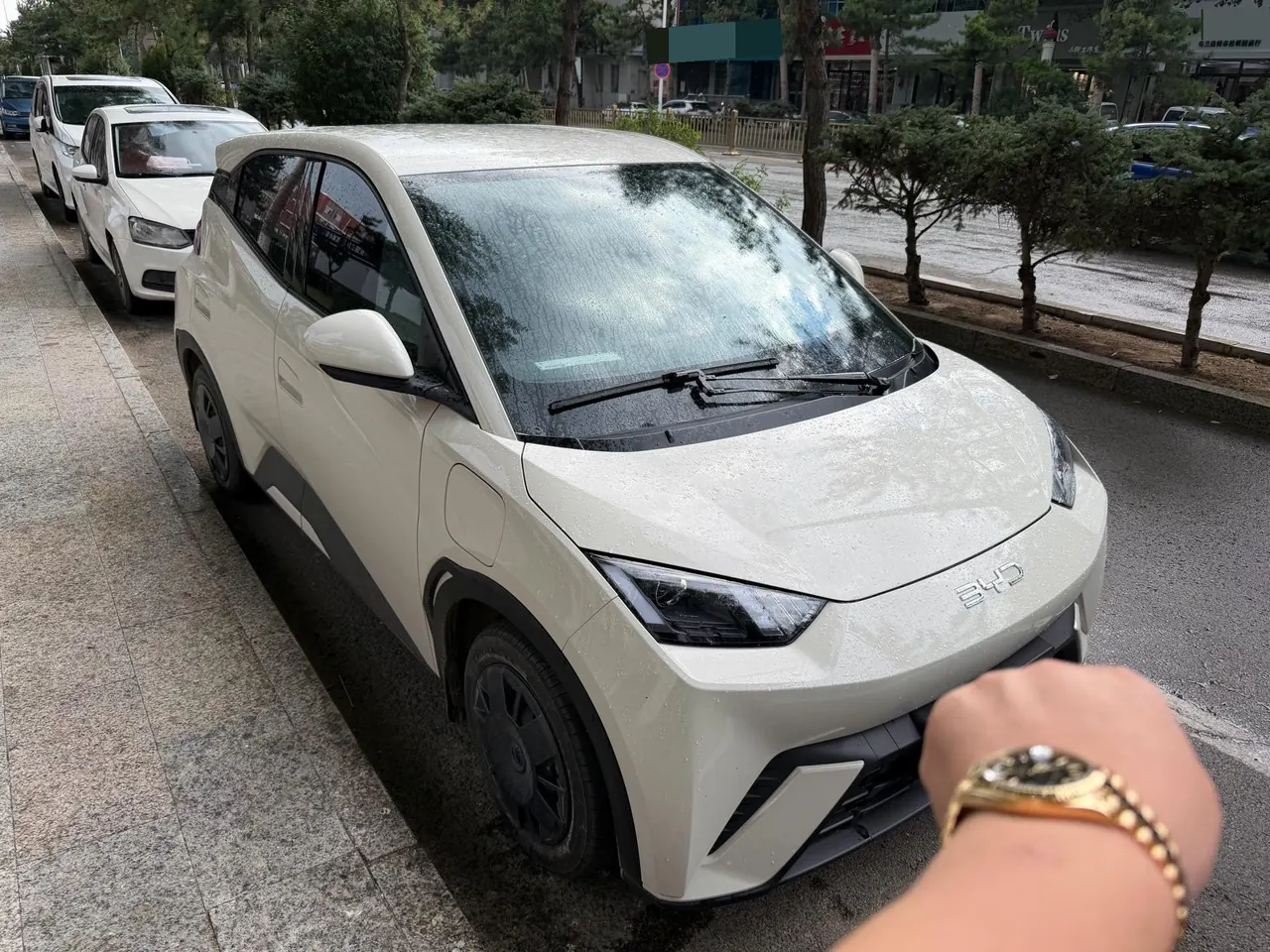 BYD 2025 seagulls 305km dynamic version of automatic gear 3