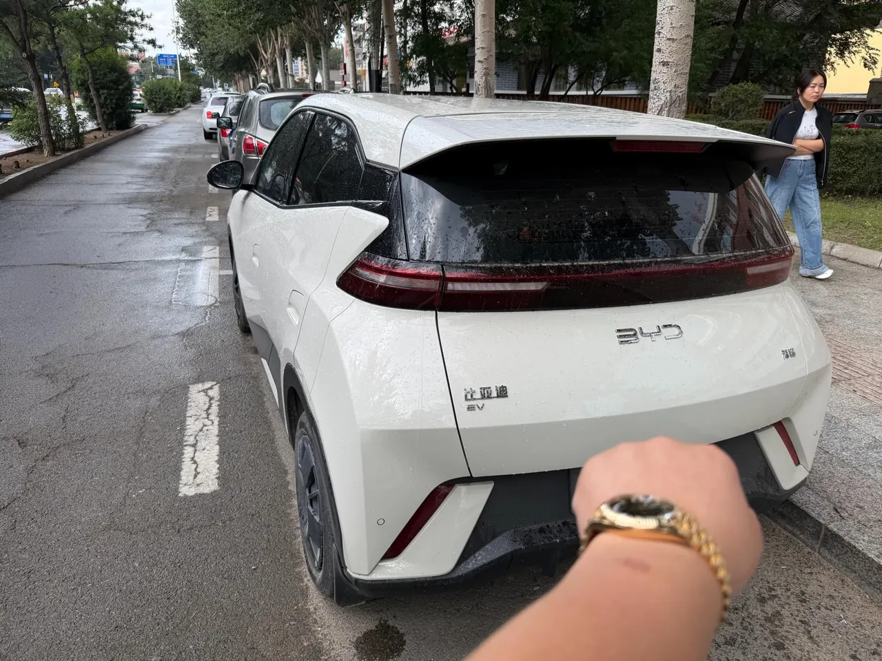 BYD 2025 seagulls 305km dynamic version of automatic gear 7