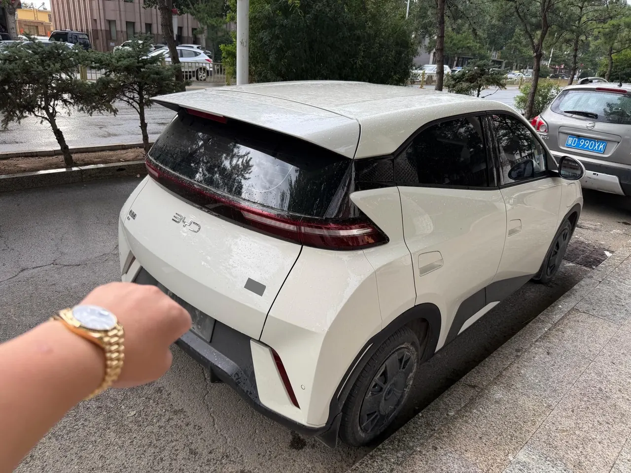 BYD 2025 seagulls 305km dynamic version of automatic gear 9