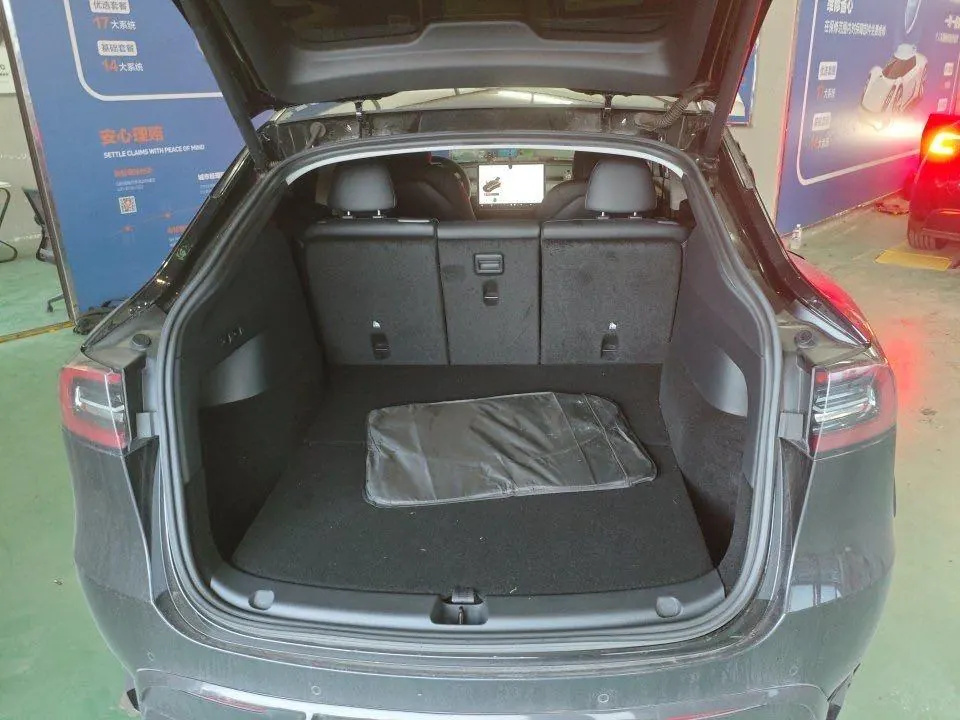 Tesla 2021 Model Y Standard Endurance Rear Drive Automatic Gear 6