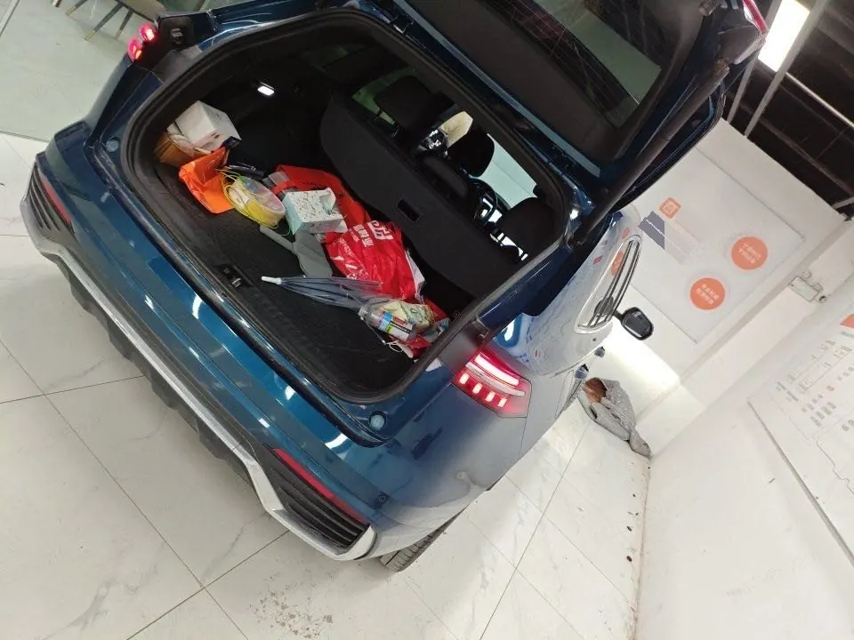Geely 2021 XingyueL (Monjaro) 2.0TD high-power four-wheel drive flagship automatic transmission 9