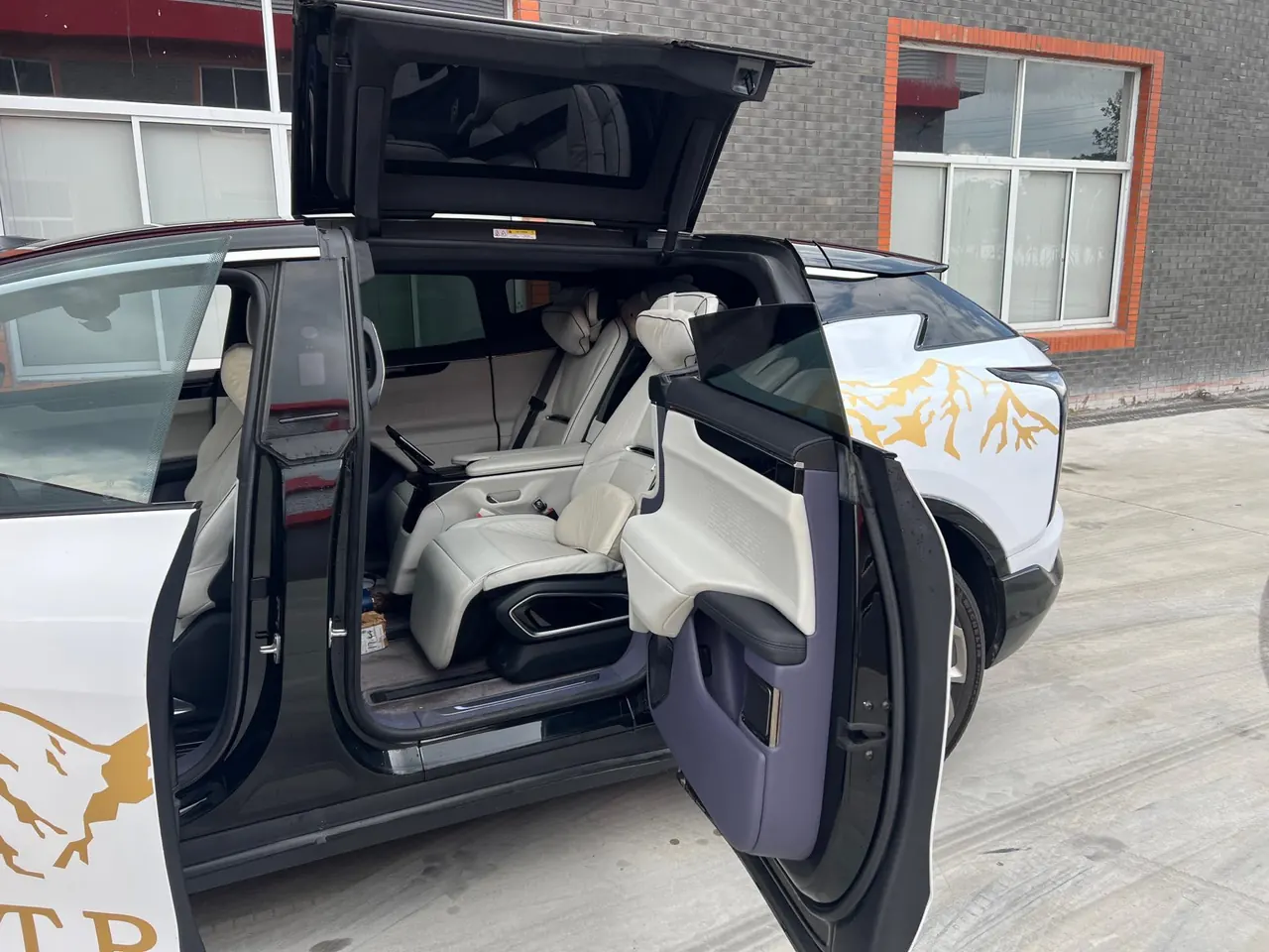 HiPhi 2021 HiPhi X Ultimate 4-seat Automatic Gear 3