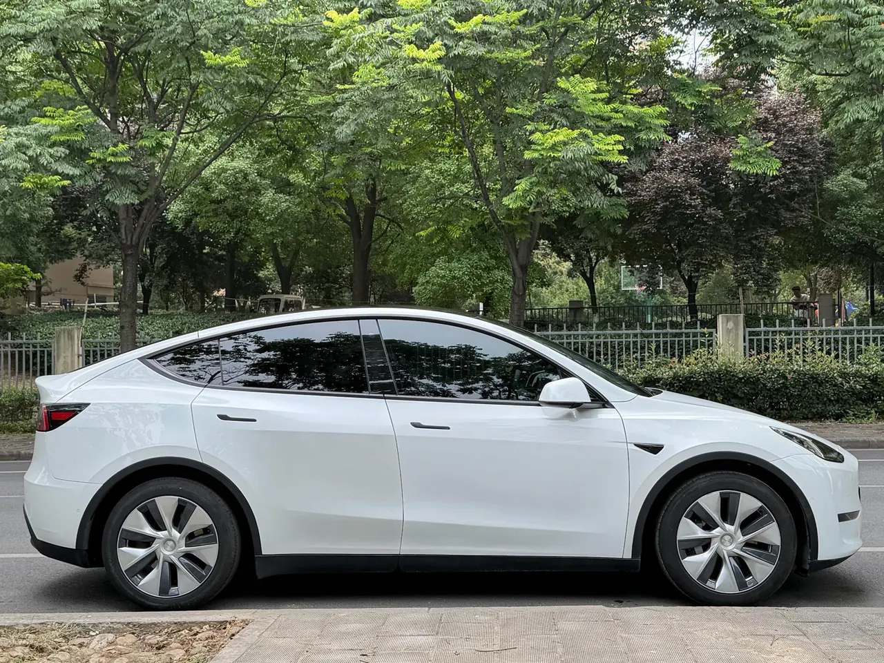 Tesla 2021 Model Y Standard Endurance Rear Drive Automatic Gear 3