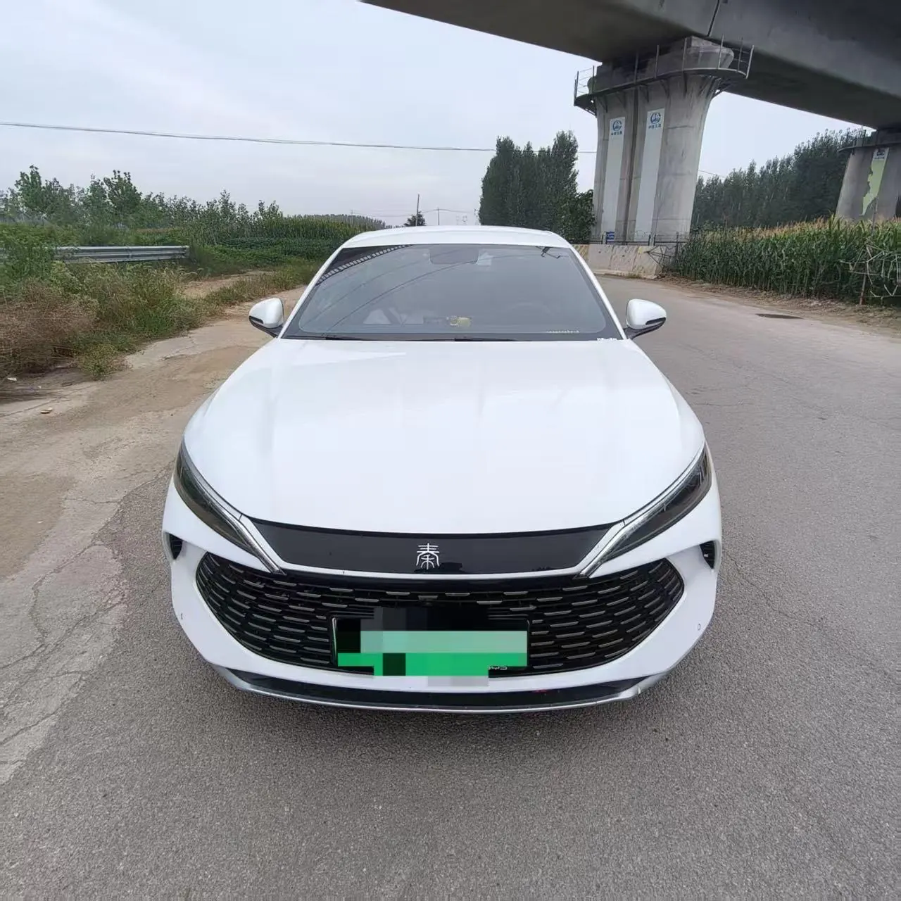 BYD 2024 Qin L DM-i 1.5 stepless 80KM Exceed automatic gear 2