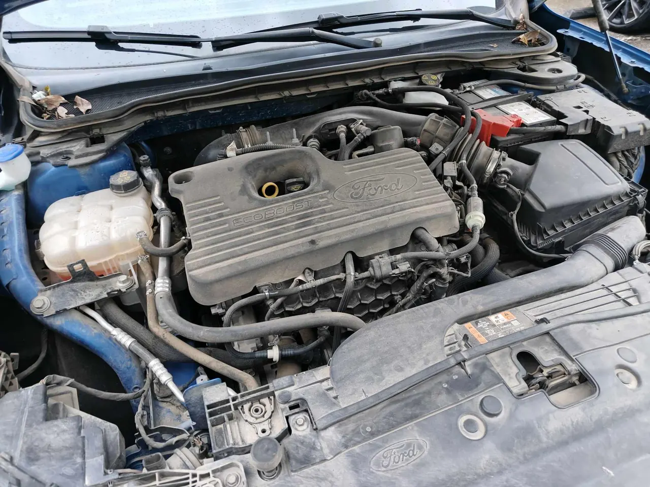 Ford 2022 EVOS 2.0T EcoBoost 245 ST-Line Automatic 8