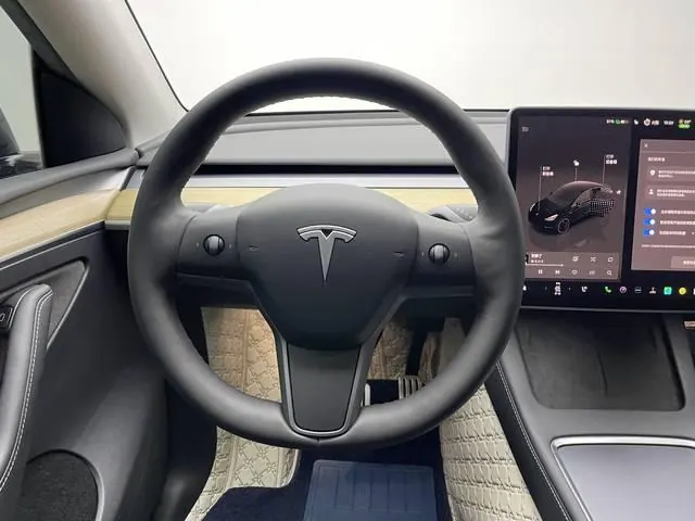 Tesla 2022 Model Y Performance high-performance all-wheel drive version (facelift) automatic gear 5