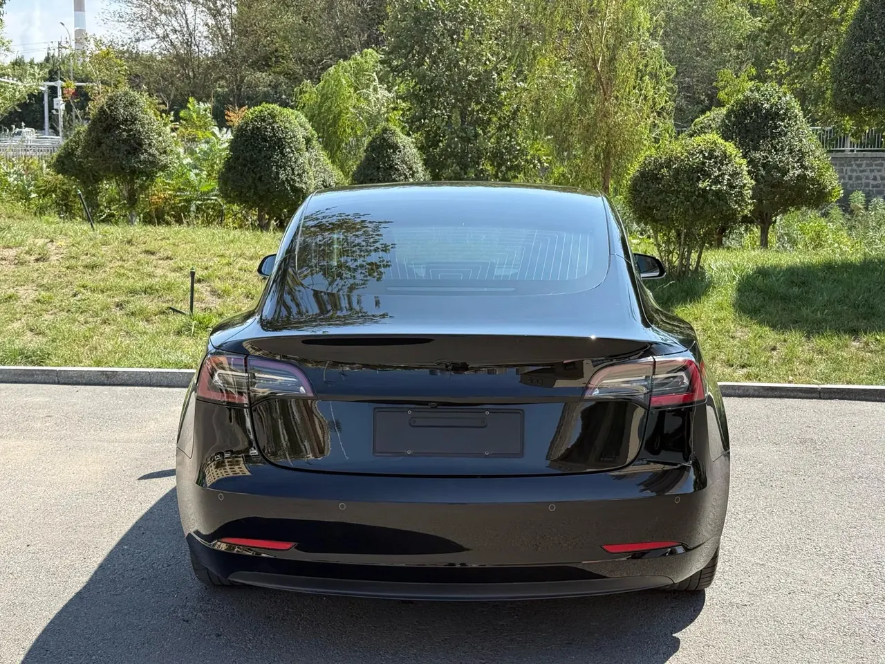 Tesla 2020 Model 3 Standard Endurance Rear Drive Upgrade (Modified) Automatic Gear 8