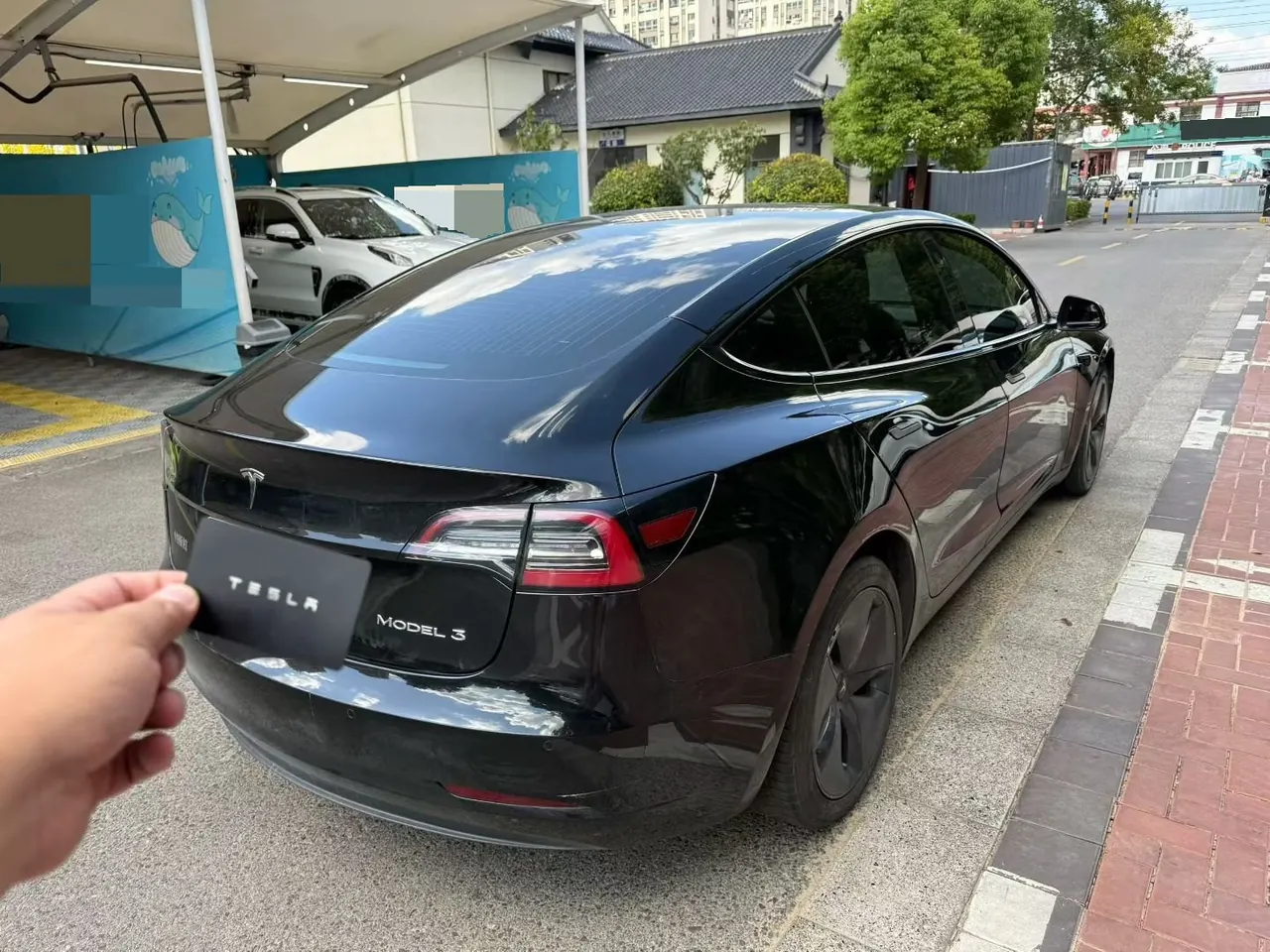 Tesla 2020 Model 3 Standard Endurance Rear Drive Upgraded Automatic Gear 5