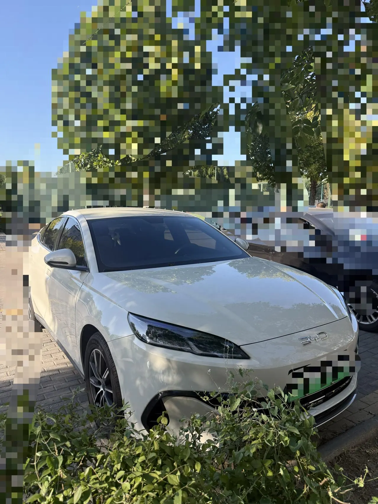 BYD 2024 seal 06 DM-i 1.5 stepless 80KM noble automatic gear 3