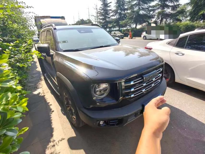 Haval 2021 big dog 2.0T Chinese garden dog version automatic gear 2