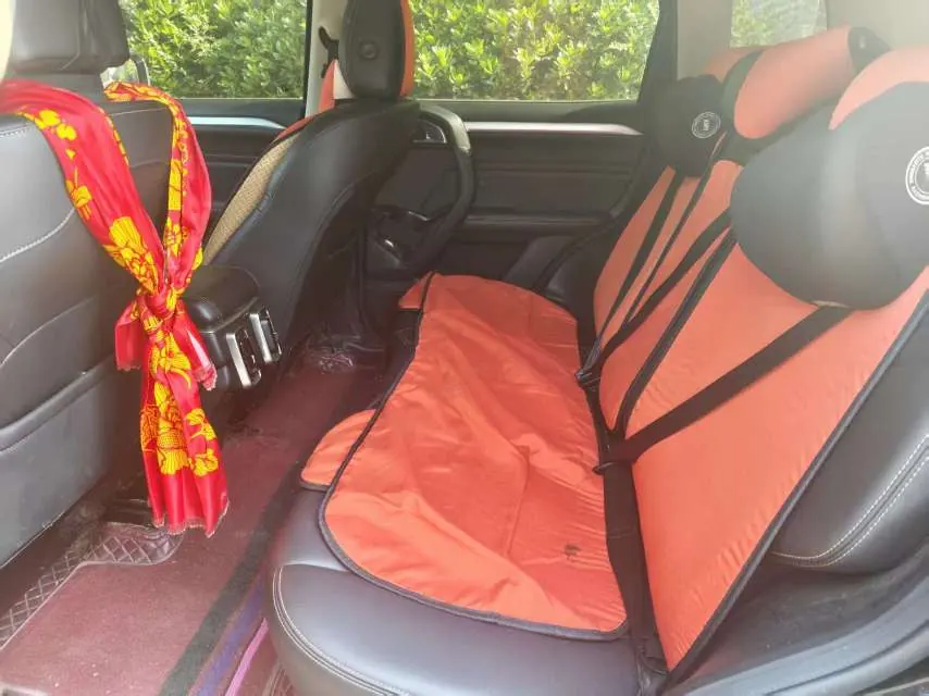 Haval 2021 big dog 2.0T Chinese garden dog version automatic gear 7