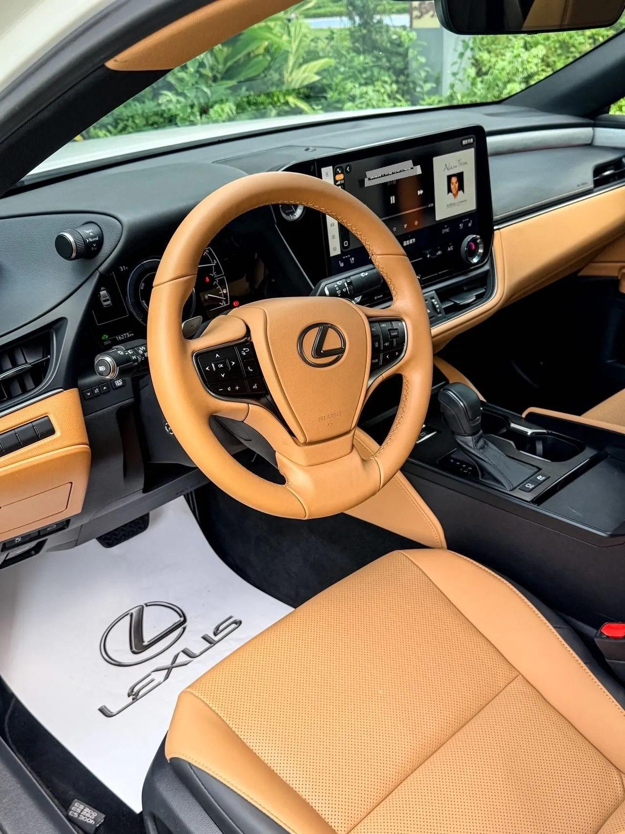 Lexus ES (Imported) 2025 ES300h 2.5 Stepless Premium Edition Automatic Gear 5